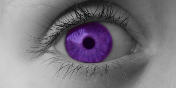 Do Purple Eyes Exist